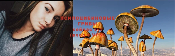 mix Бородино
