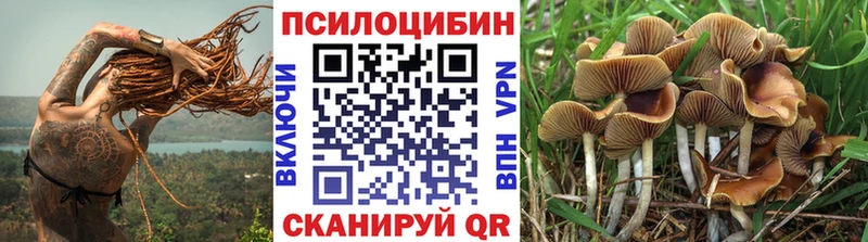 Галлюциногенные грибы Psilocybe  Верхотурье 